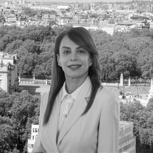 Profile shot for Setareh Neshati